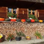 Bauernhof Gerber By Interhome Lägenhet *