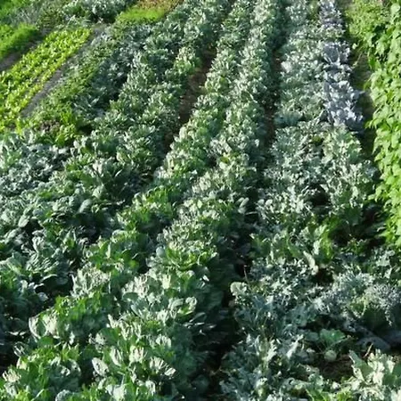 Bauernhof Gerber By Interhome *