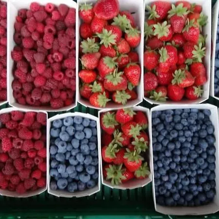 شقة Bauernhof Gerber By Interhome