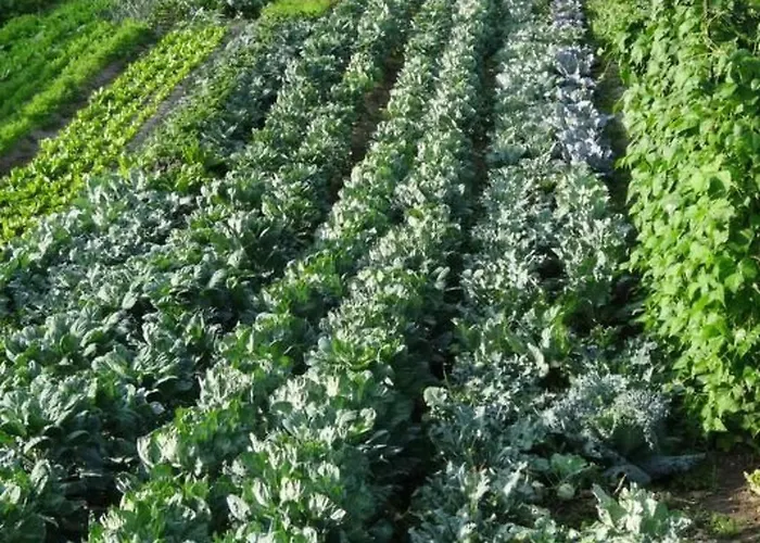 Bauernhof Gerber By Interhome *