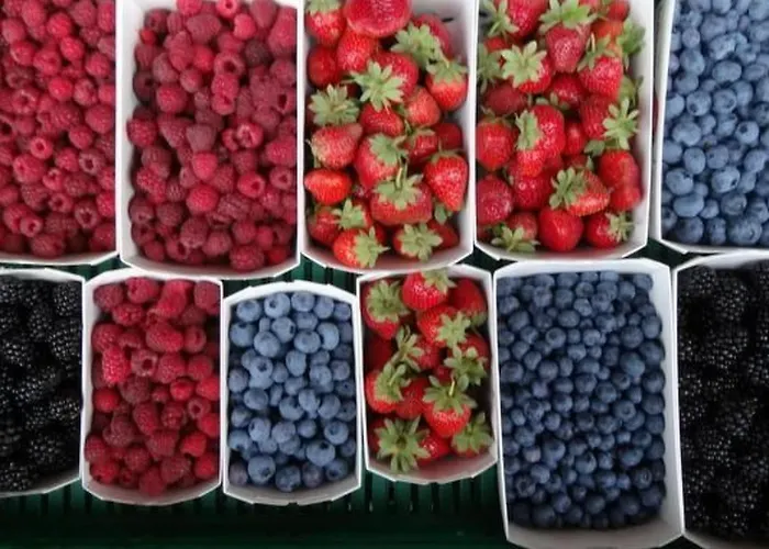 Apartamento Bauernhof Gerber By Interhome