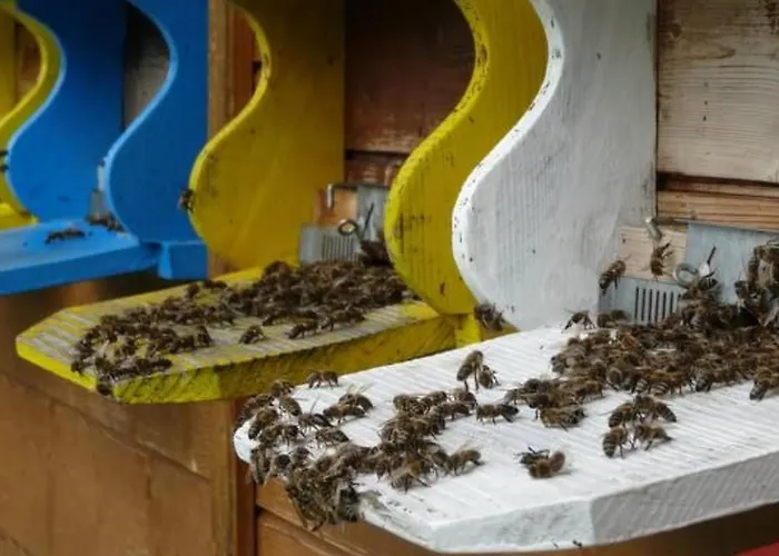 Bauernhof Gerber By Interhome *