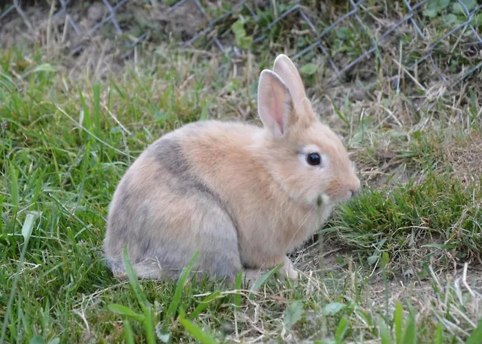 Bauernhof Gerber By Interhome